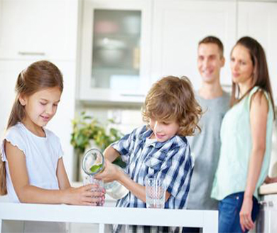 ro repair water purifier